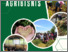 [thumbnail of Buku Sosiologi Agribisnis Sudah ISBN - Azzia.pdf]