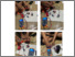 [thumbnail of LAMPIRAN FARID HIDAYAT 217180065.pdf]