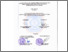 [thumbnail of PENDAHULUAN_221 200 050_ NURUL HIDAYAH_AKUNTANSI.docx.pdf]