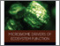 [thumbnail of 2024_Book Chapter Internasional.pdf]