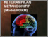 [thumbnail of 5. BUKU 5 MODEL POKM.pdf]