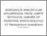 [thumbnail of Turnitin Muhammad Akhsan Akib]