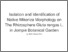 [thumbnail of Turnitin Muhammad Akhsan Akib]